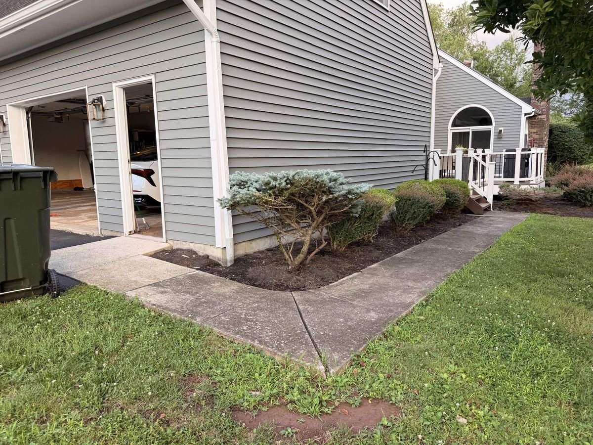 Walkway Restoration — before Apex Exterior Services completed the work