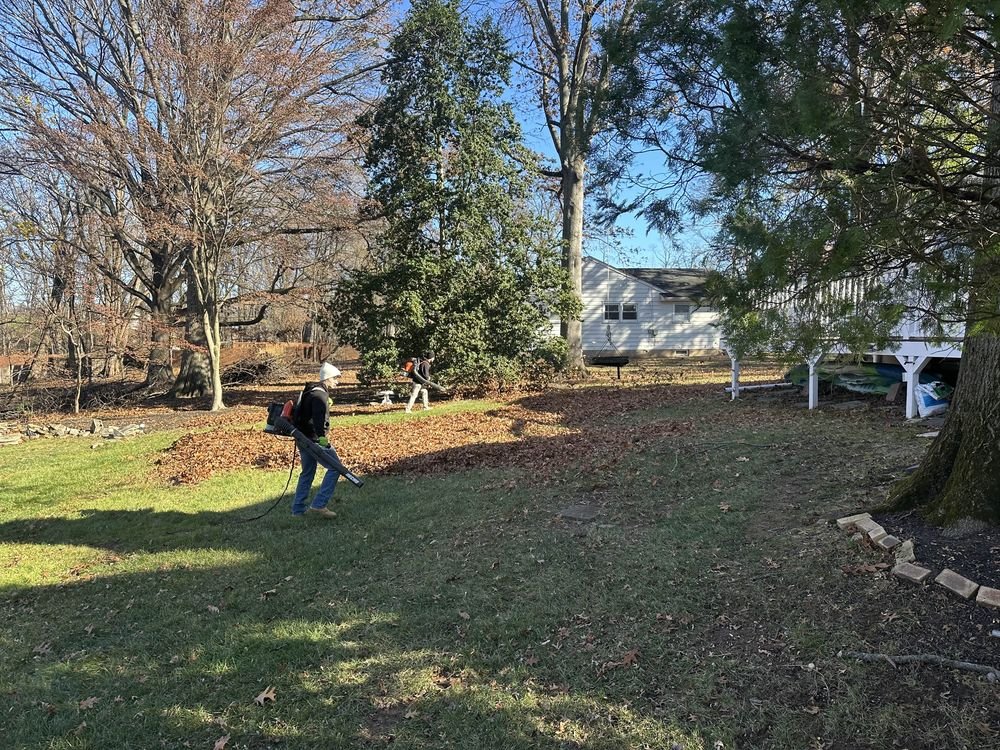 Property Clean Ups by Apex Exterior Services